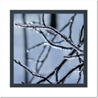 icey branches Posters and Art